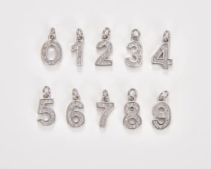Charm Bracelet/ Bracelet